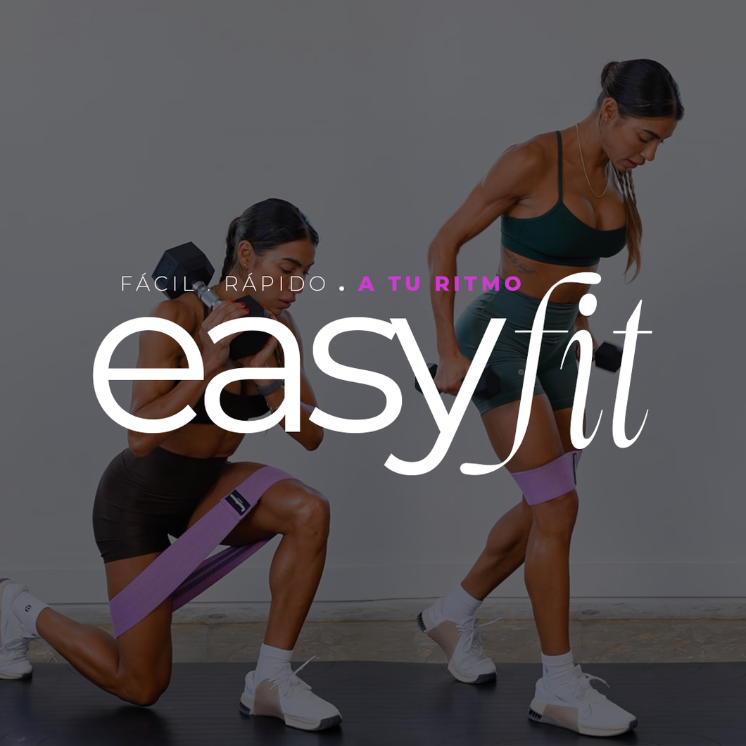 EasyFit 2025